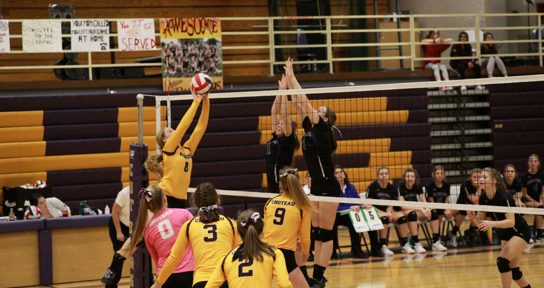 CHS spikers going to state tourney